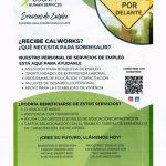 Recurso Servicio de Empleo